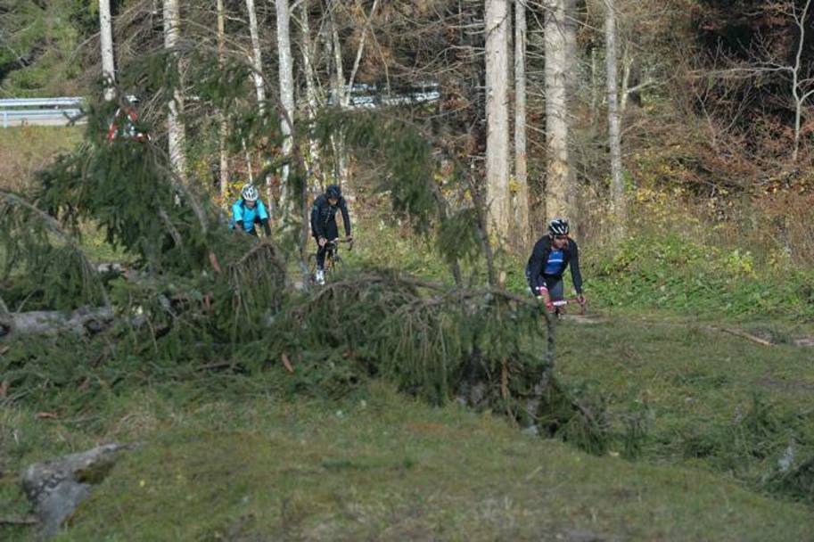 Tra gli alberi caduti sul Croce d’Aune: la salita è di 13,5 km con pendenza media del 6,3% e punte del 16% nel finale
